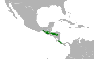 Distribución geográfica del zorzal serrano.
