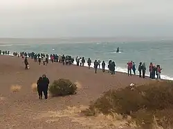 Excursión escolar para divisar ballenas con marea alta.