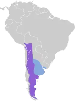 Distribución geográfica de la bandurrita común.