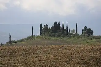 Paisaje del Valle de Orcia