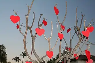 Corazones, característicamente rojos en su mayoría.