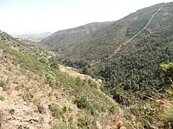 Sierra de Las Nieves