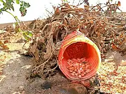 Colocación demasiado accesible del veneno.