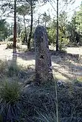 Mojón de la Pijotada. Menhir en el límite con Quemada
