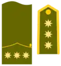 Divisa coronel Ejército de Tierra hasta 1986.