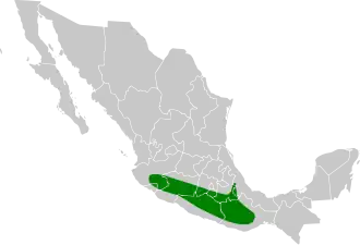 Distribución geográfica del vireo pizarroso.