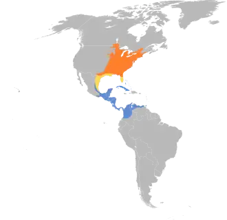 Distribución geográfica del vireo gorjiamarillo.