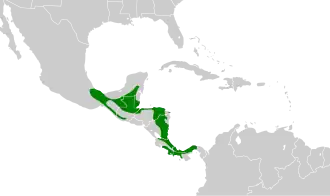 Distribución geográfica del vireón esmeralda.