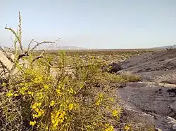 Vista del Parque eólico desde la periferia de Udpinango.