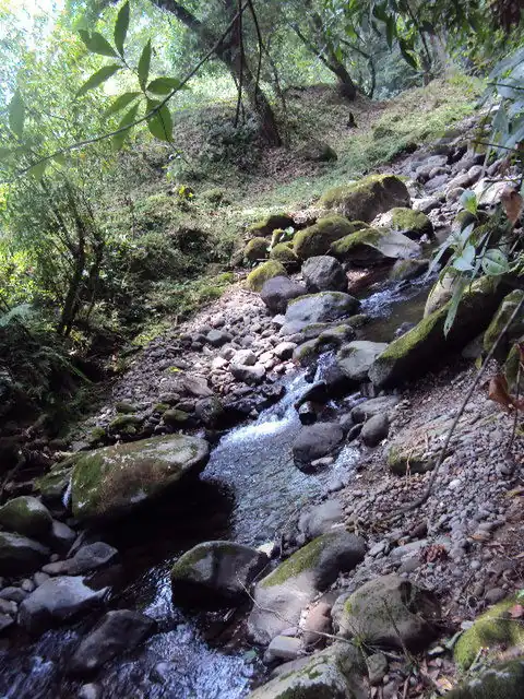 Vista del río Pixquiac en Tlalnelhuayocan.