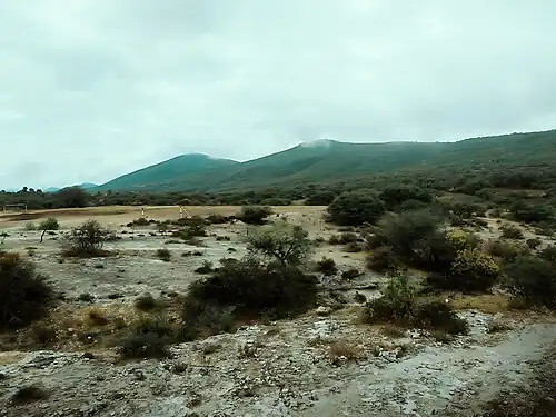 Vista panorámica de El Pirú Tepozotlán desde el suelo.