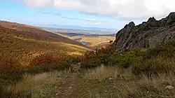 Hayedo de la Pedrosa capturado desde la Quesera