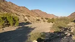 Wadi Al Ejili - Emirate of Ras Al Khaimah