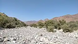 Wadi Al Helo. Sandy bed with gravel and small boulders