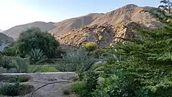 Wadi Al Helo - Farms and cultivation area - Zarub