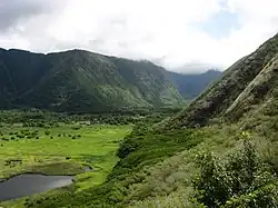 Vista del interior del valle de Waipiʻo.