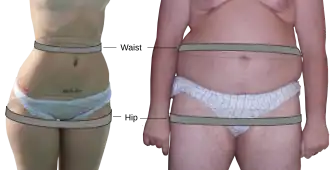 Ilustración de la medida del índice cintura-cadera