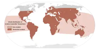 Approximada distribución global de serpentes
