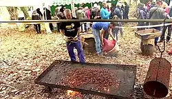 Fiesta de la Castaña
