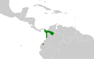 Distribución geográfica del colagrís norteño.