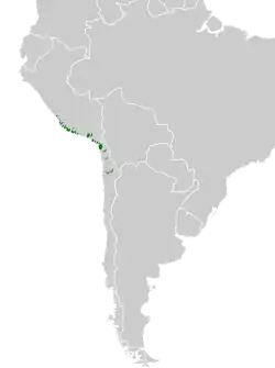 Distribución geográfica del yal picofino.