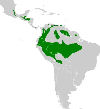Distribución geográfica del trepatroncos picofuerte.