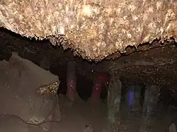 Estalactitas cortas encontradas en el Salón Romano.