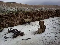 Yavi Chico temporal de granizo Marzo 2014