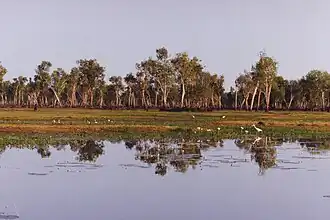 Parque nacional Kakadu