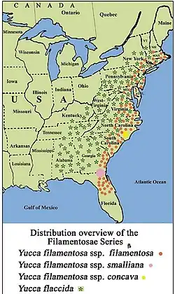 Distribución natural