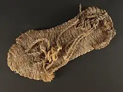 Sandalia entre los años 700 a 1100. Fuente: Servicio de Parques Nacionales