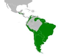 Distribución del chingolo