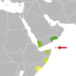alt= Zygocarpum coeruleum Zygocarpum dhofarense Zygocarpum yemenense Zygocarpum somalense Zygocarpum gillettii Zygocarpum rectangulare